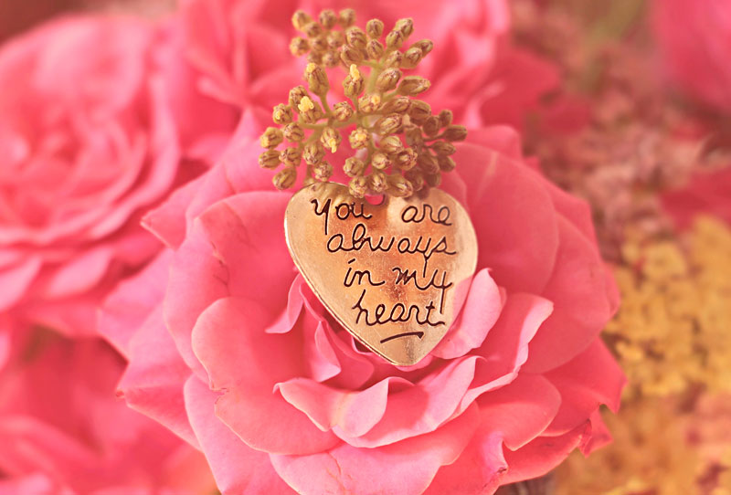 bloom-blooming-blossom-1545965